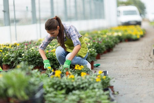 A young woman working in a greenhouse or plant nursery in Harlesden, London, tending to rows of flowering plants placed in black plastic pots, with vibrant yellow and pink blossoms visible among lush green foliage. She is dressed in a light plaid shirt, jeans, and green gardening gloves, kneeling on a paved pathway between the plants. The background shows glass panels of the greenhouse structure, allowing natural daylight to illuminate the scene. The outdoor environment features neatly arranged flower beds and well-maintained garden pathways, highlighting a professional gardening setting focused on plant care and landscaping. This image exemplifies expert gardening services available in the Harlesden area, including plant maintenance, flower bed development, and overall garden enhancement, contributing to the local horticultural landscape of northwest London.