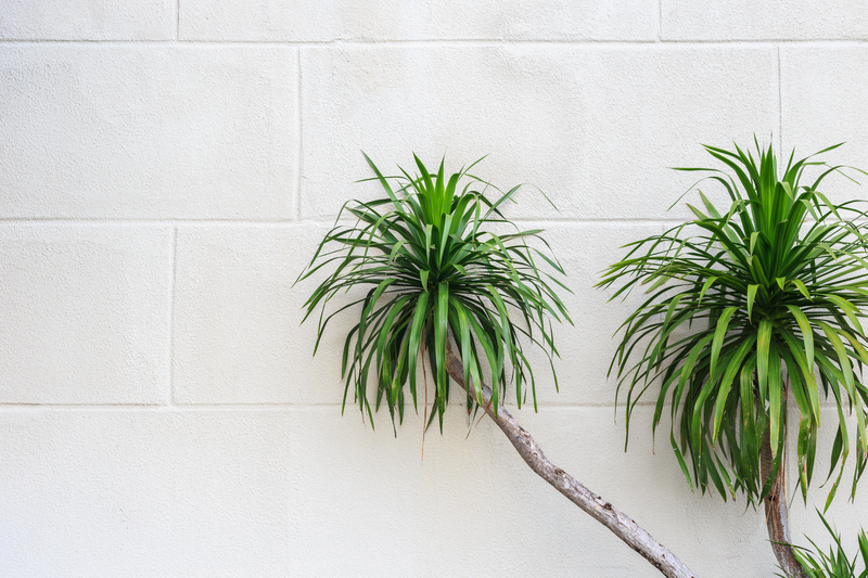 landscape design garden